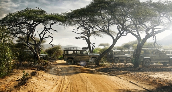 Photograph Tom Wittkemper Landrover Elephant Crossing on One Eyeland